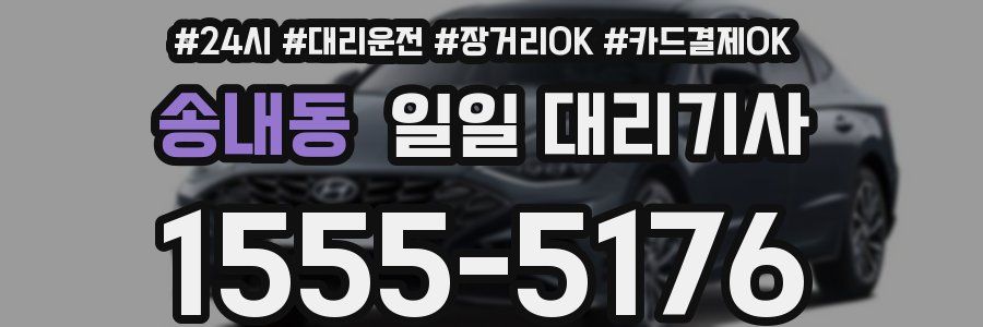 송내동 일일 대리기사