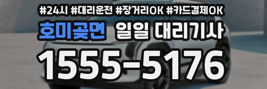호미곶면 일일 대리기사