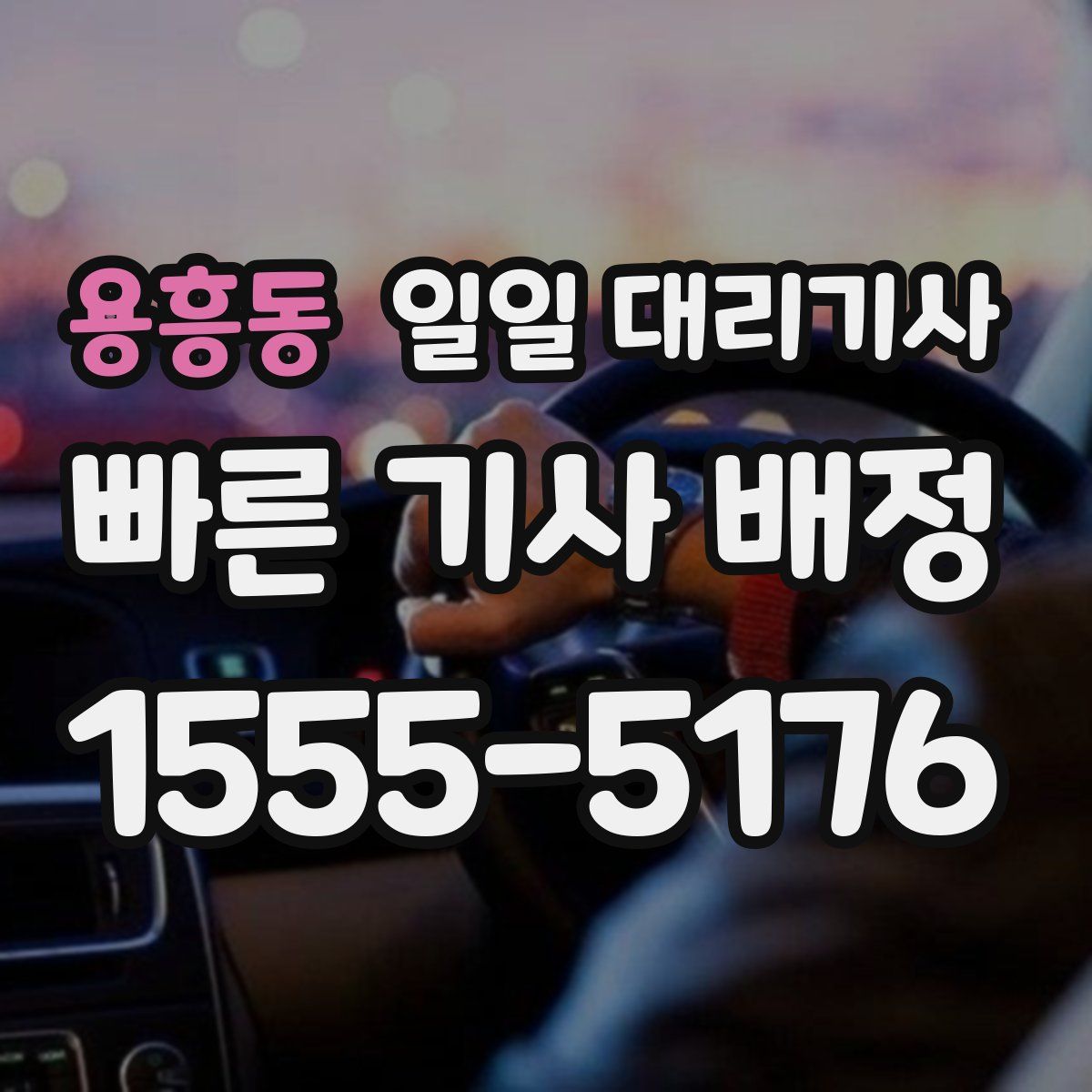 용흥동 일일 대리기사