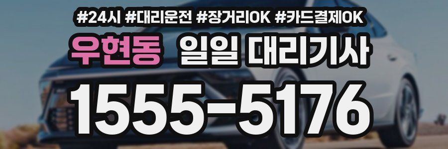 우현동 일일 대리기사