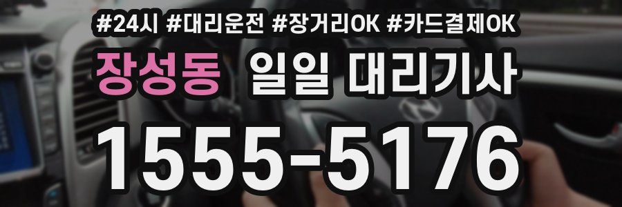 장성동 일일 대리기사