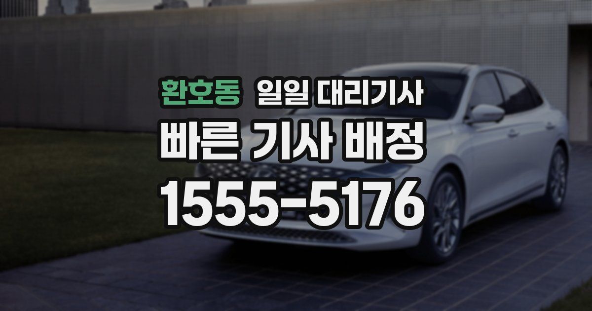 환호동 일일 대리기사