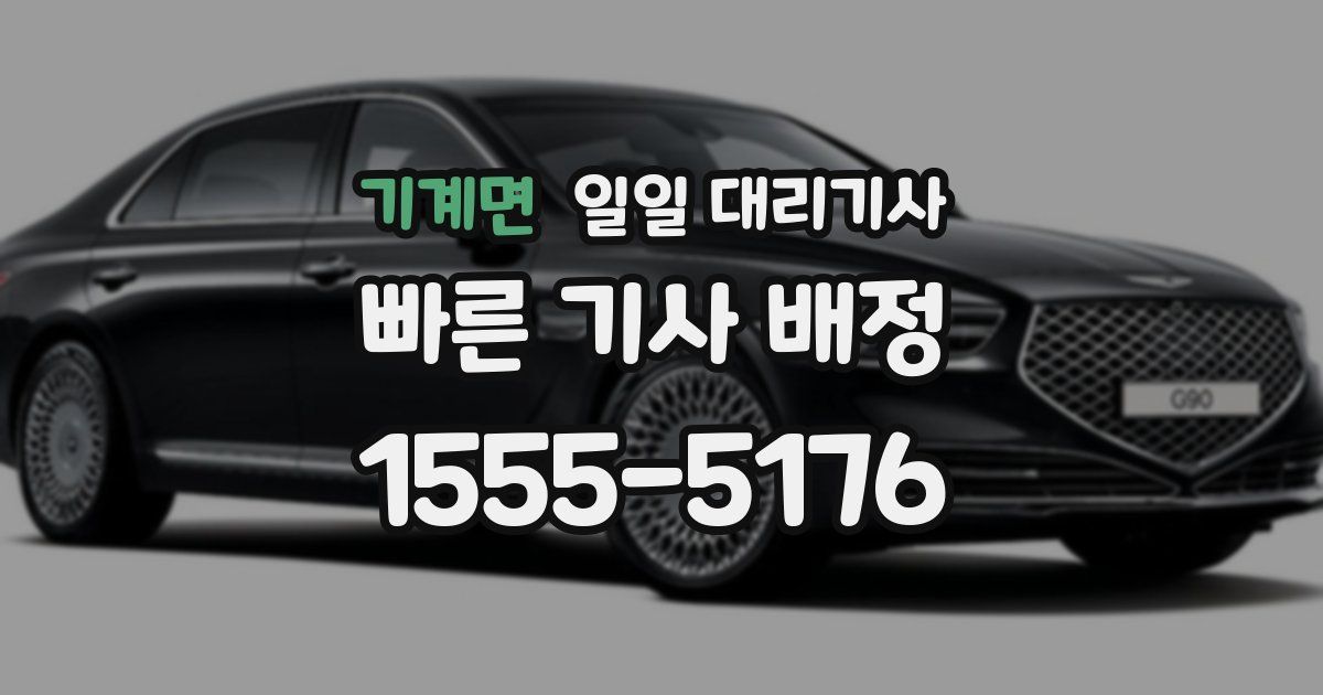 기계면 일일 대리기사