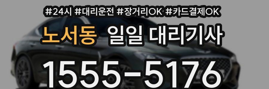 노서동 일일 대리기사