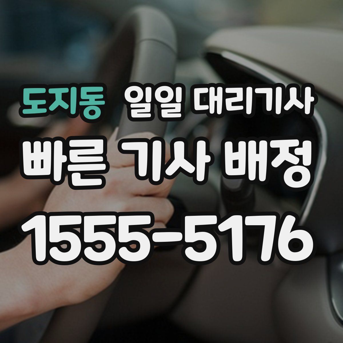 도지동 일일 대리기사