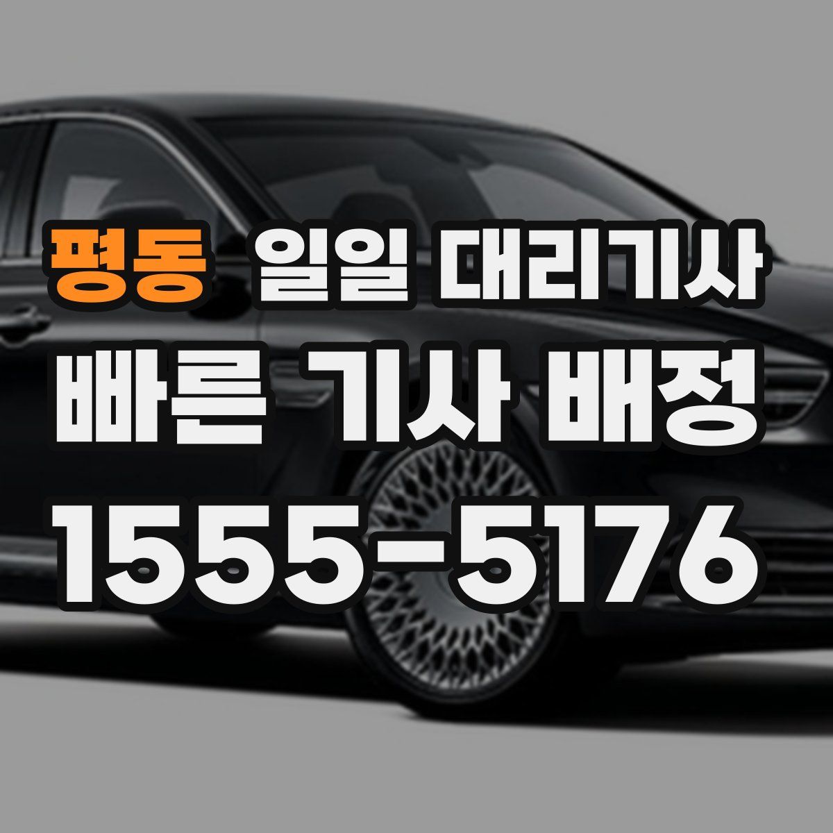 평동 일일 대리기사