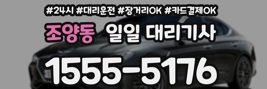 조양동 일일 대리기사