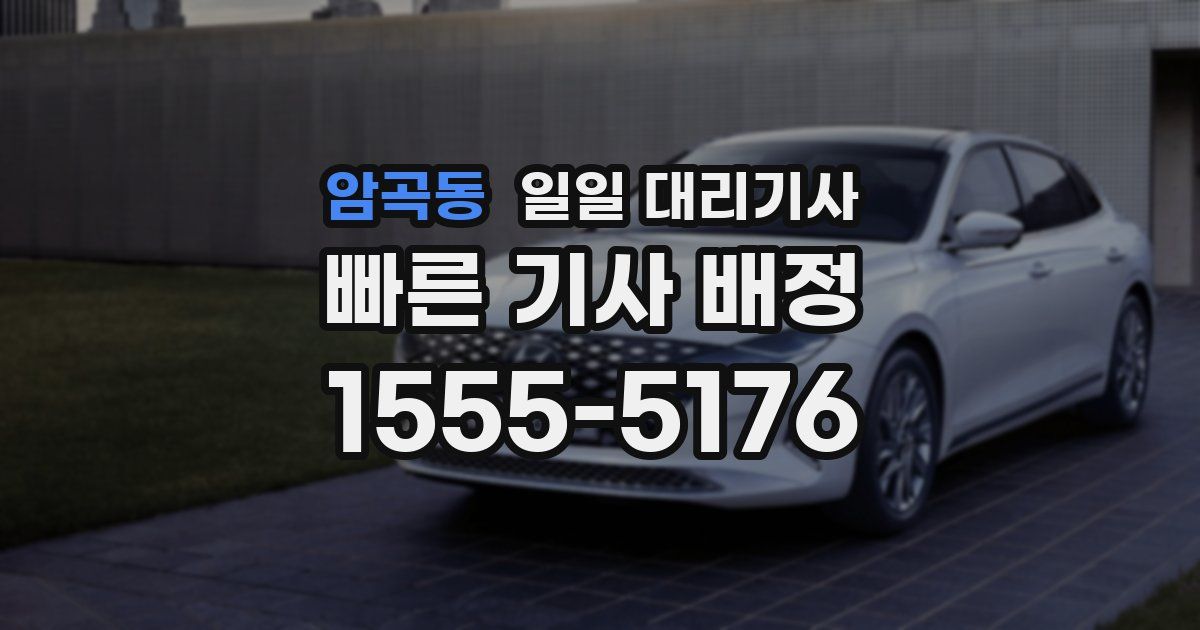 암곡동 일일 대리기사