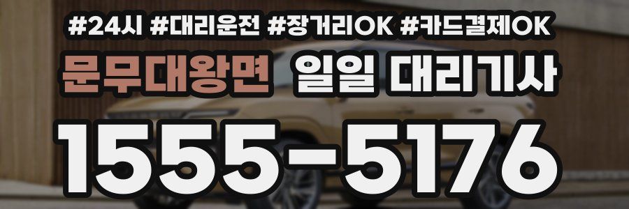 문무대왕면 일일 대리기사
