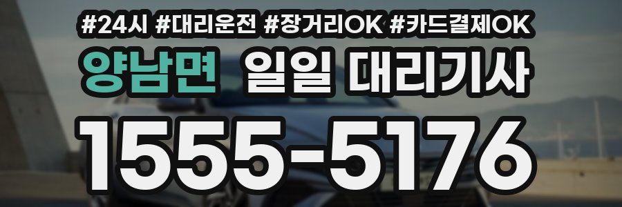 양남면 일일 대리기사