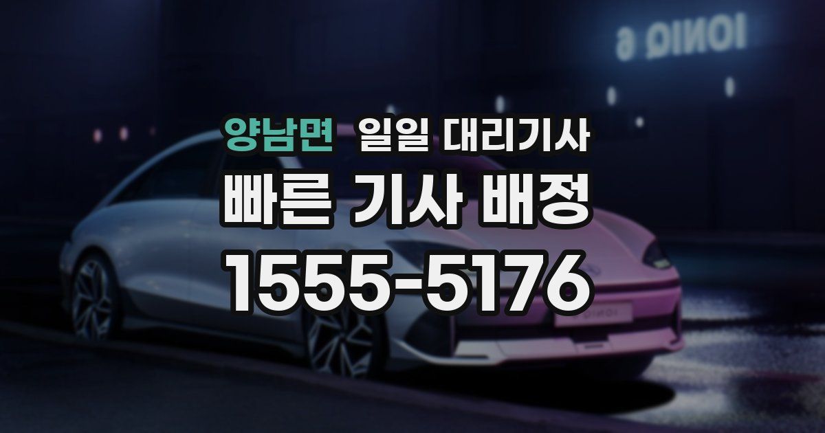 양남면 일일 대리기사