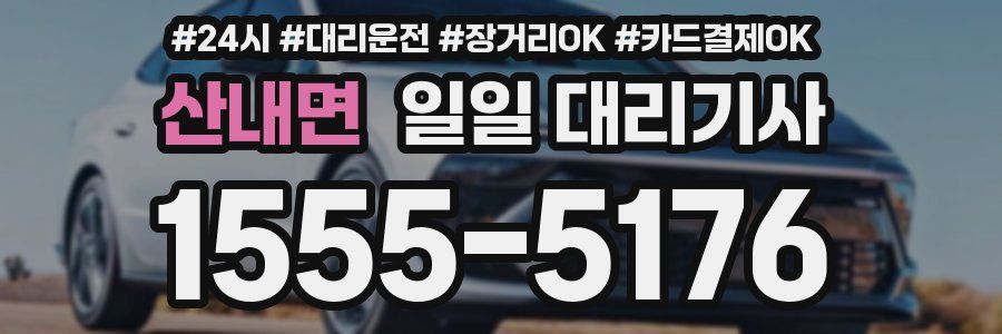 산내면 일일 대리기사