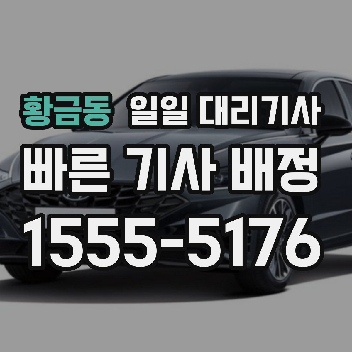 황금동 일일 대리기사