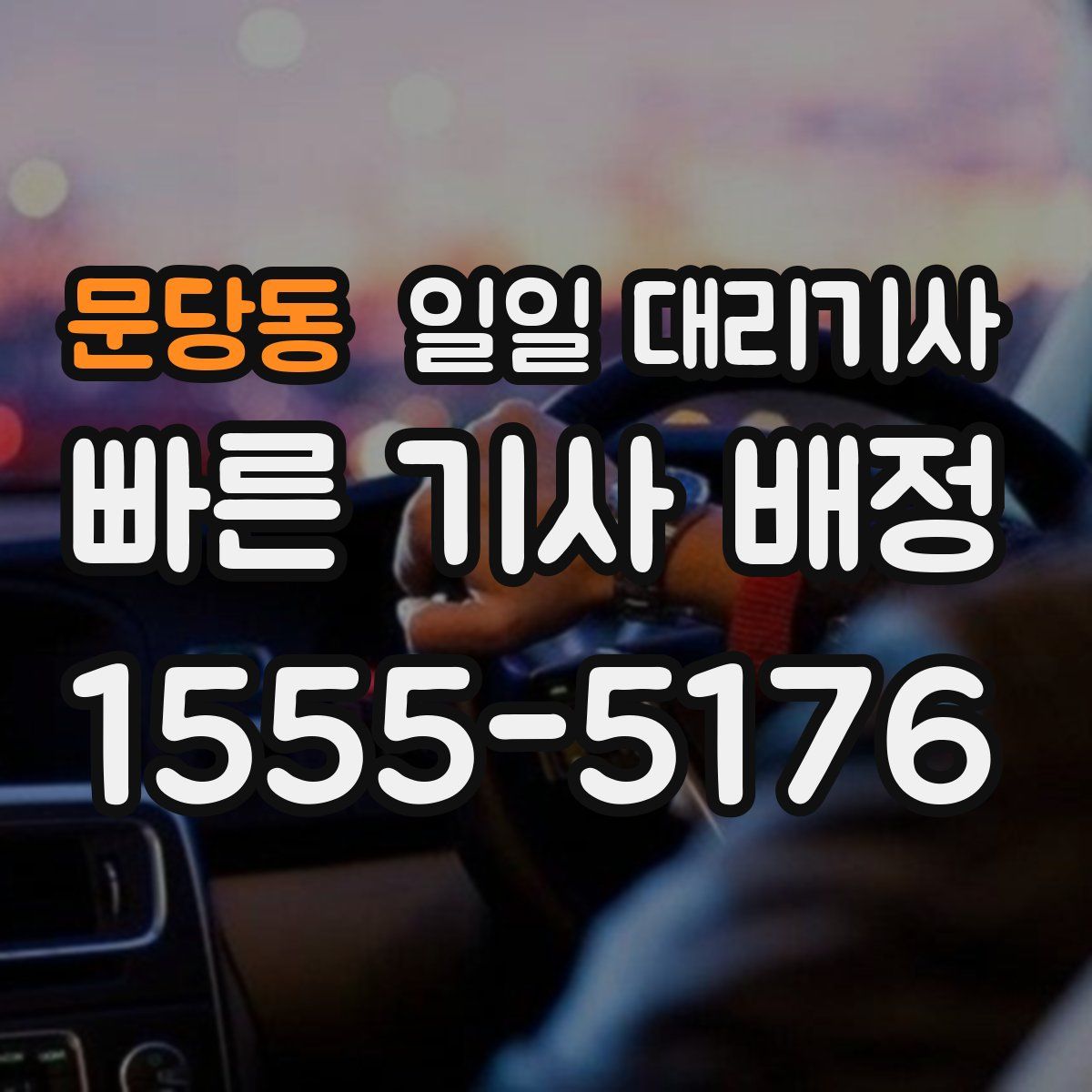 문당동 일일 대리기사