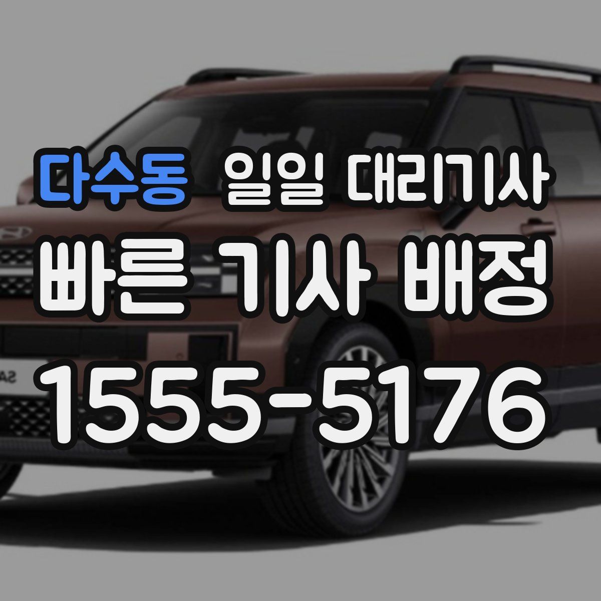 다수동 일일 대리기사