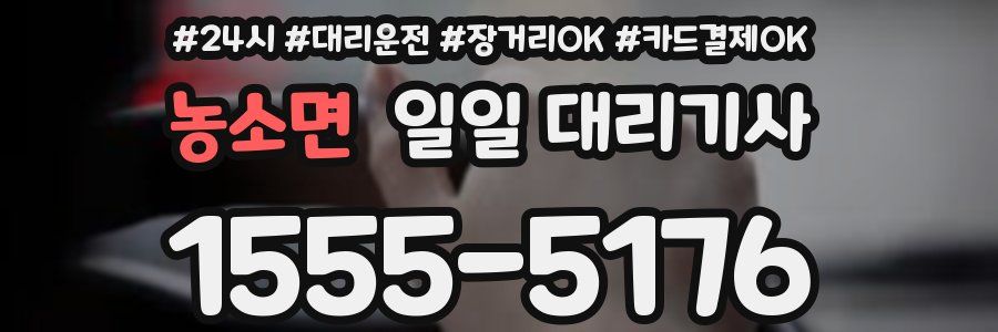 농소면 일일 대리기사
