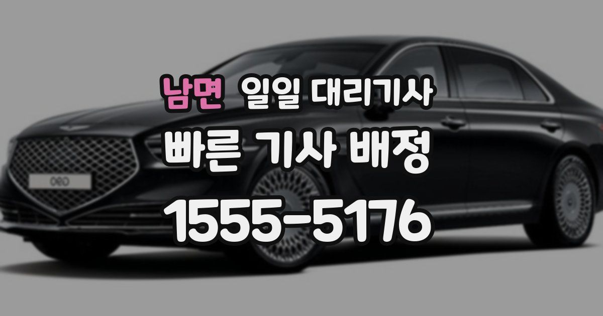 남면 일일 대리기사