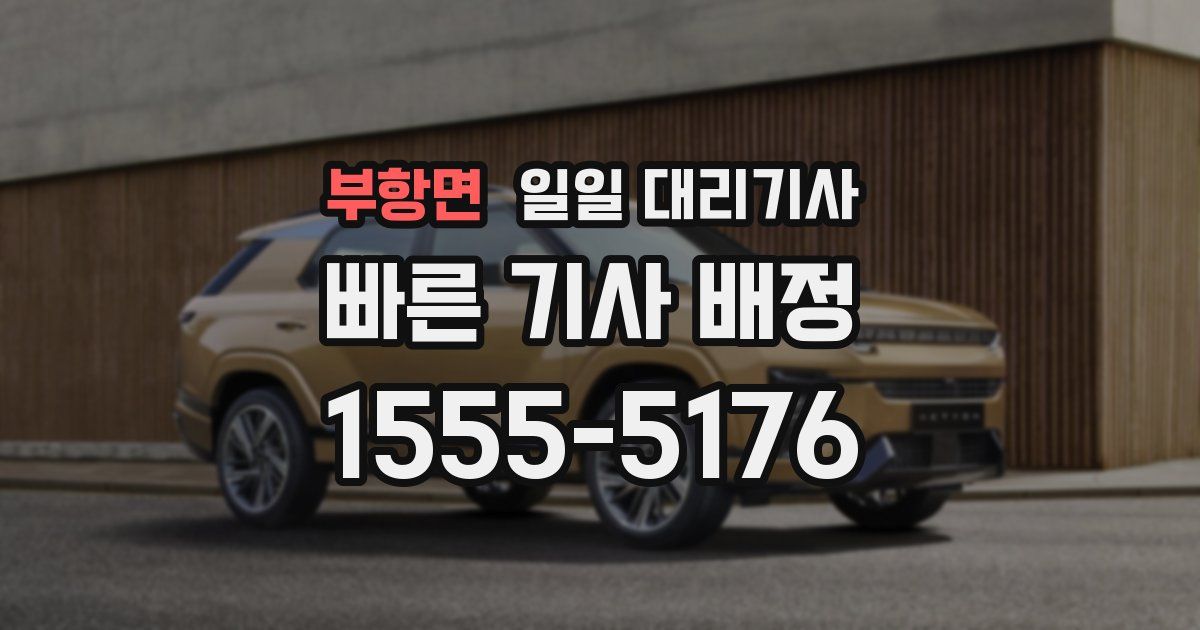 부항면 일일 대리기사