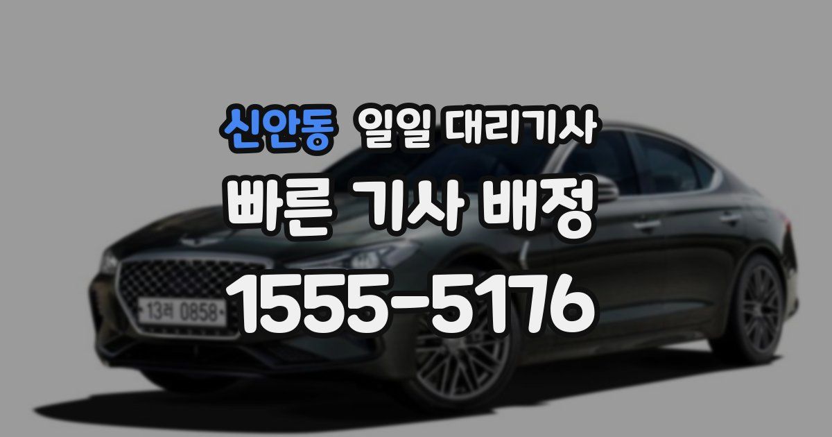 신안동 일일 대리기사