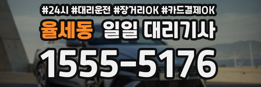 율세동 일일 대리기사