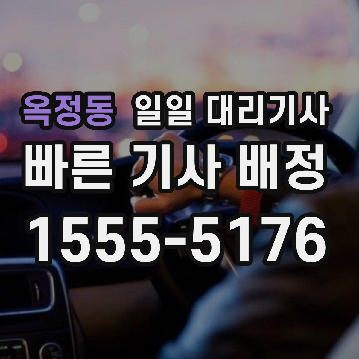 옥정동 일일 대리기사