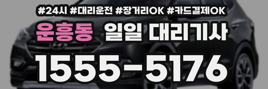 운흥동 일일 대리기사