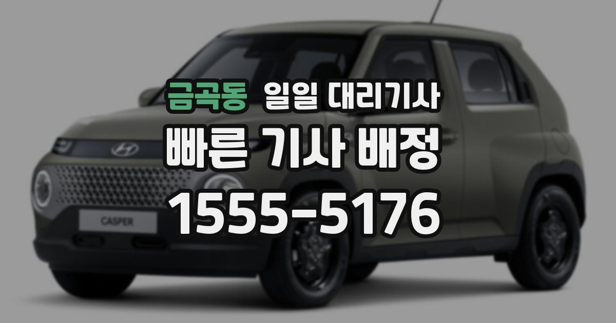 금곡동 일일 대리기사