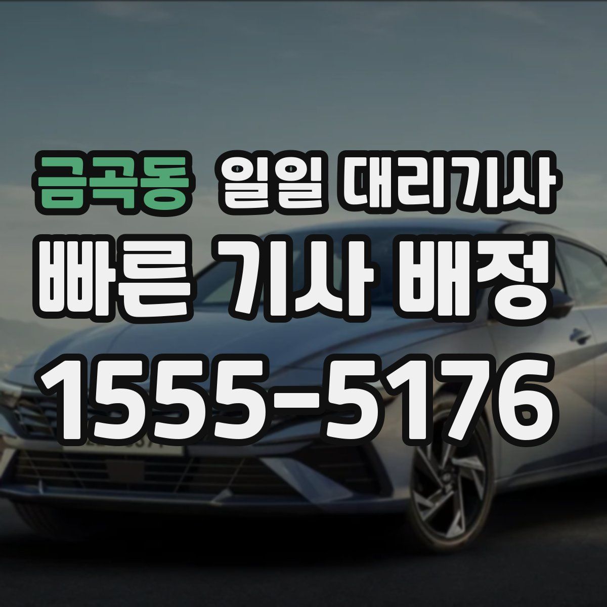 금곡동 일일 대리기사