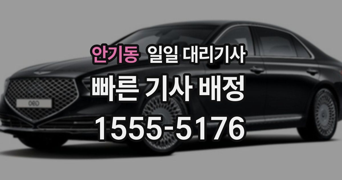 안기동 일일 대리기사