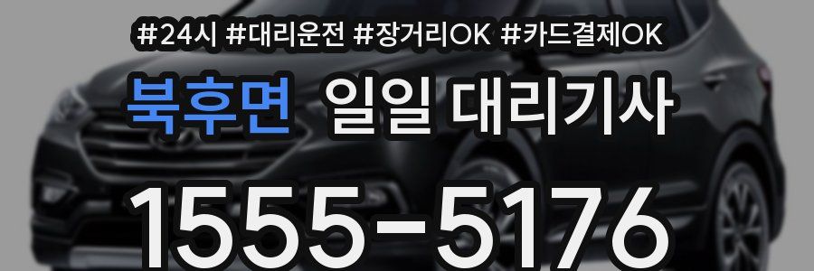북후면 일일 대리기사