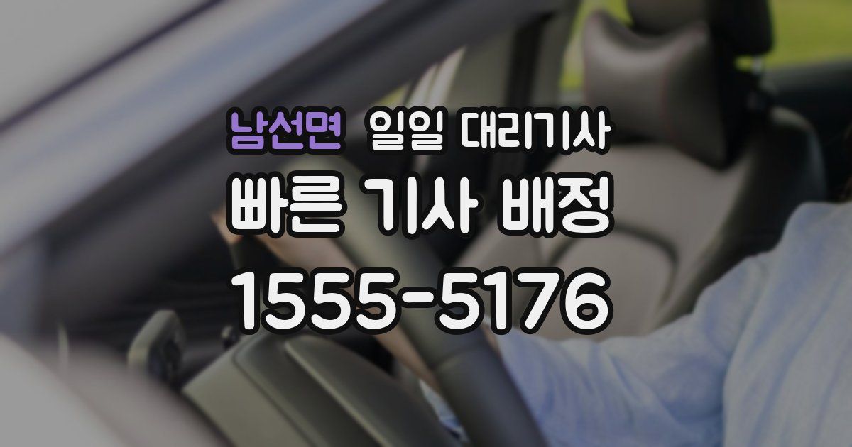 남선면 일일 대리기사