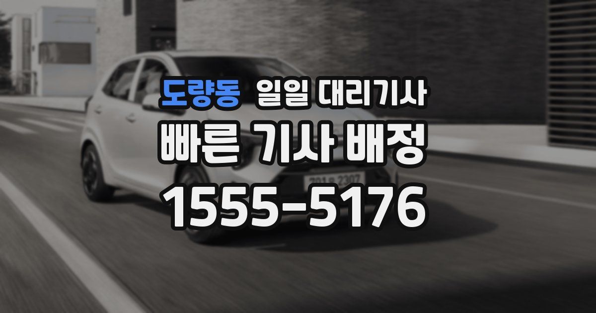 도량동 일일 대리기사