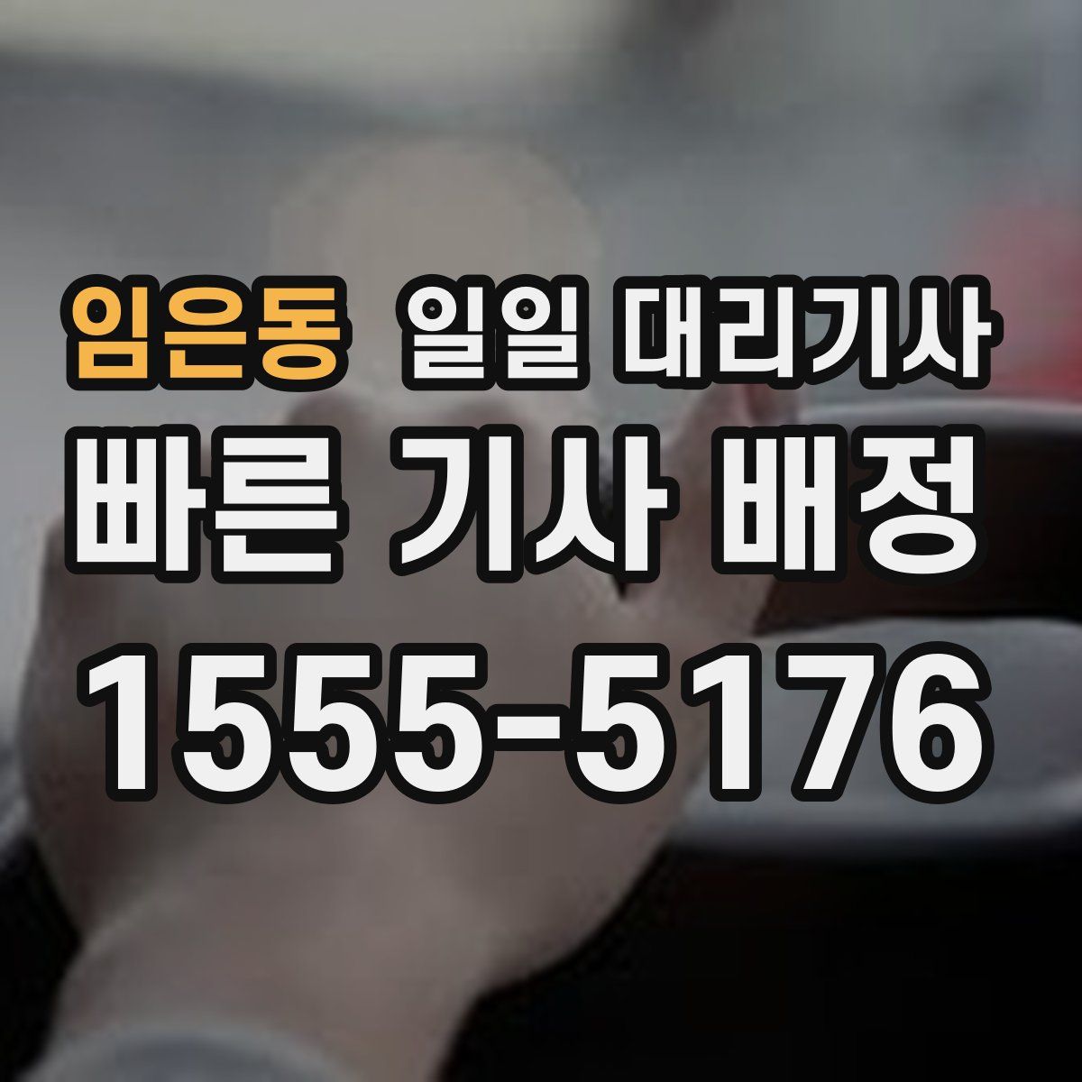 임은동 일일 대리기사
