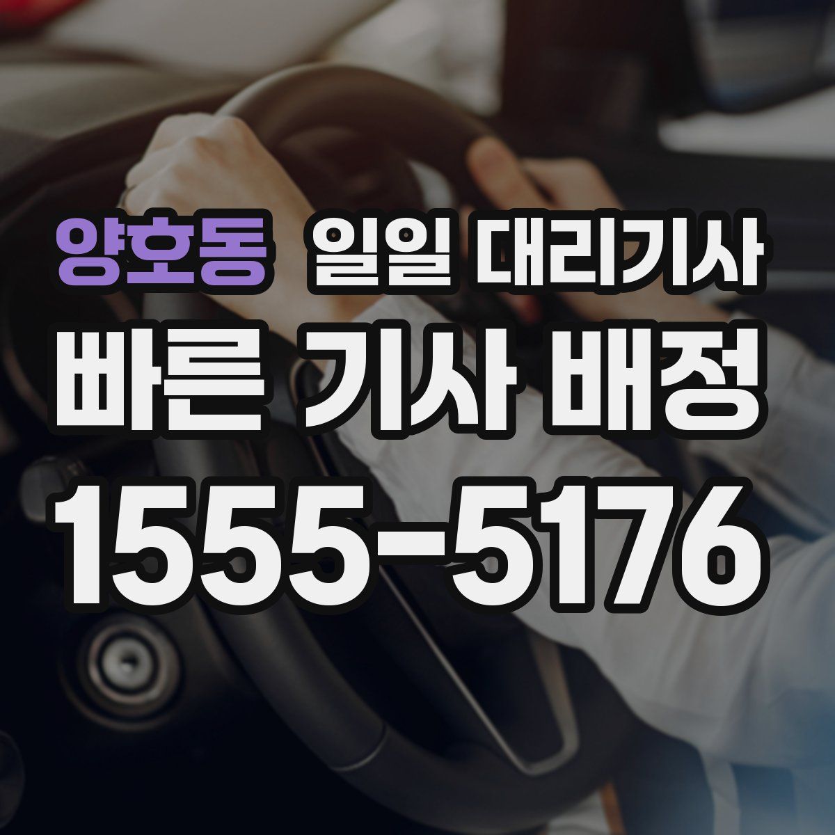 양호동 일일 대리기사