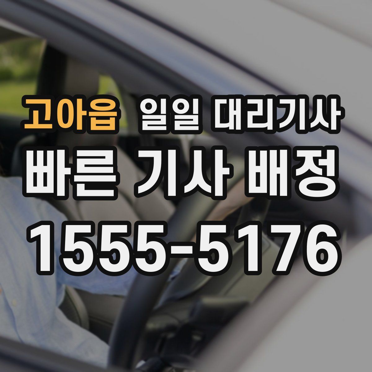 고아읍 일일 대리기사