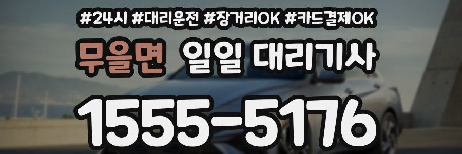 무을면 일일 대리기사