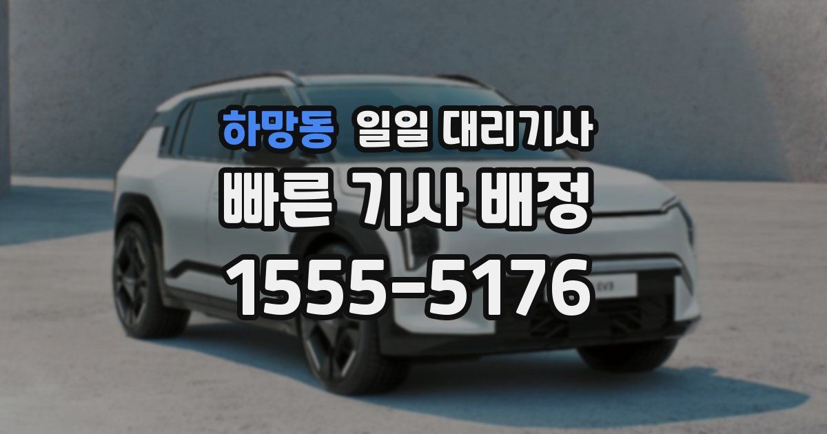 하망동 일일 대리기사