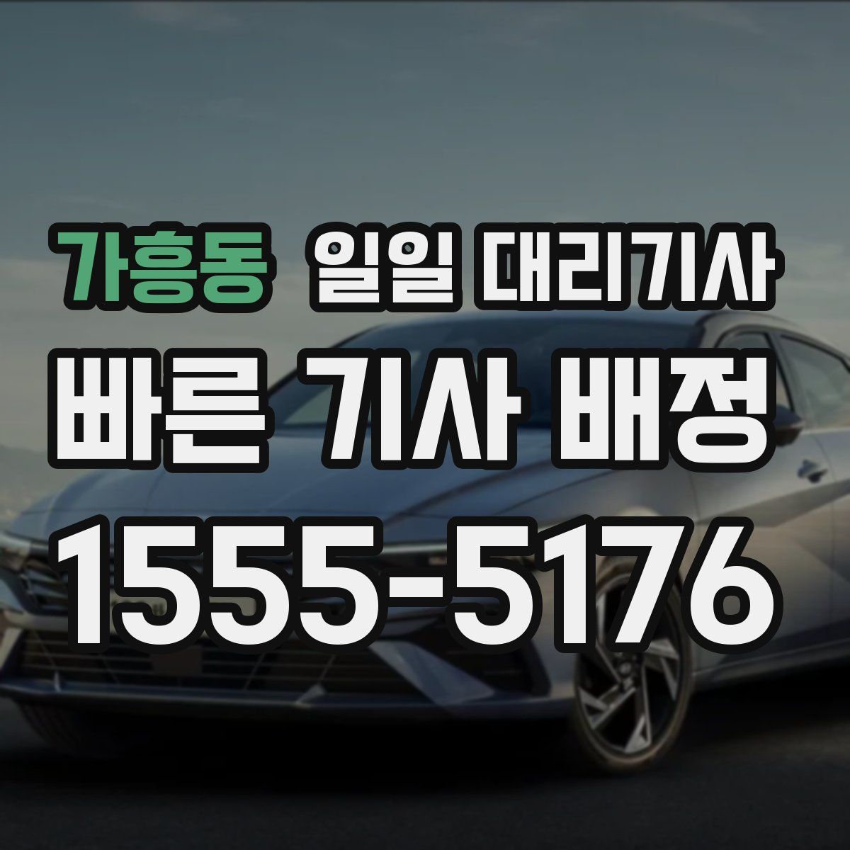 가흥동 일일 대리기사