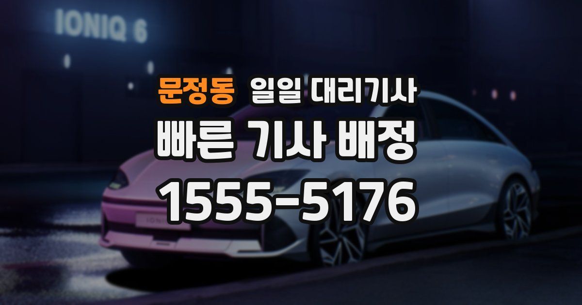 문정동 일일 대리기사