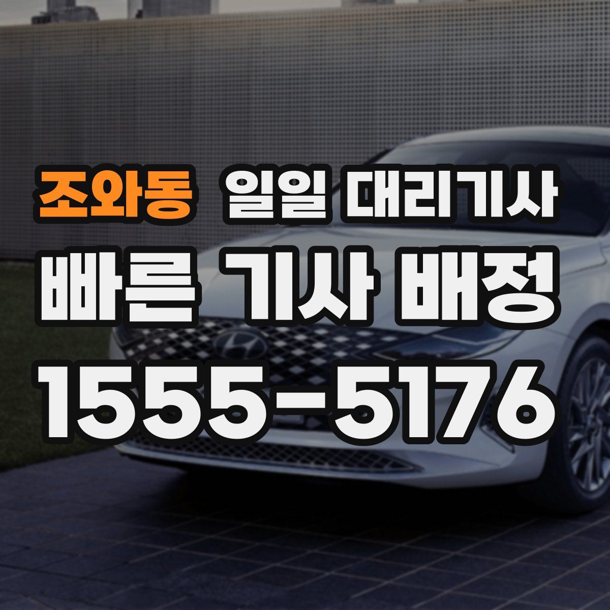 조와동 일일 대리기사