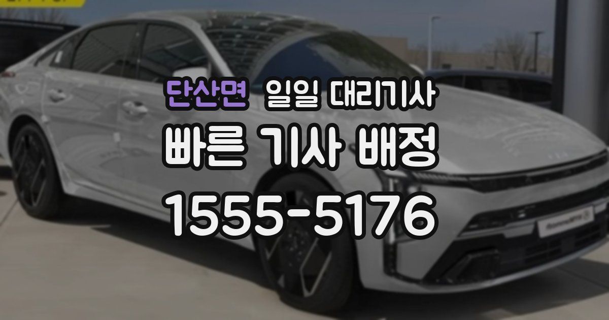 단산면 일일 대리기사