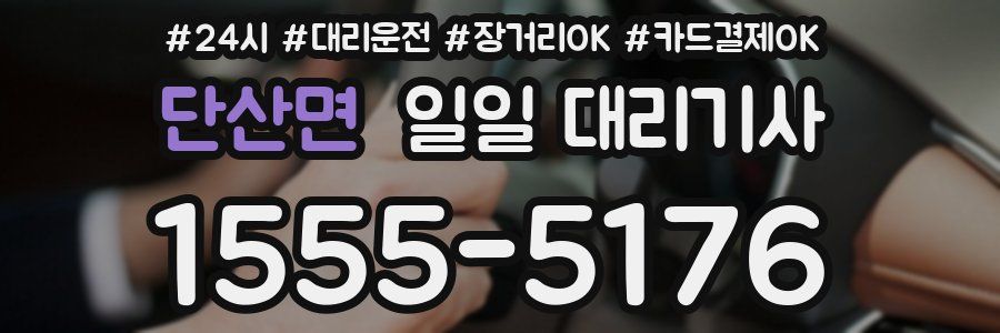 단산면 일일 대리기사
