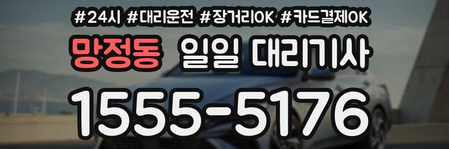 망정동 일일 대리기사