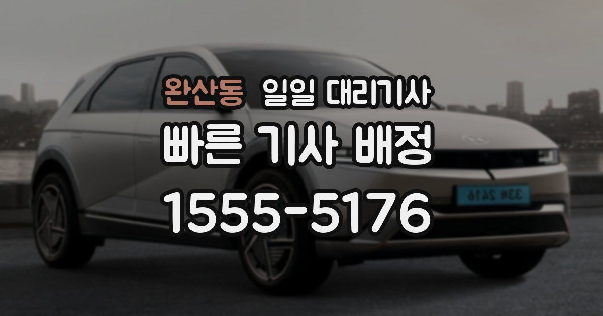 완산동 일일 대리기사