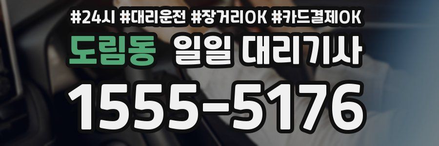 도림동 일일 대리기사