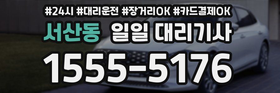 서산동 일일 대리기사