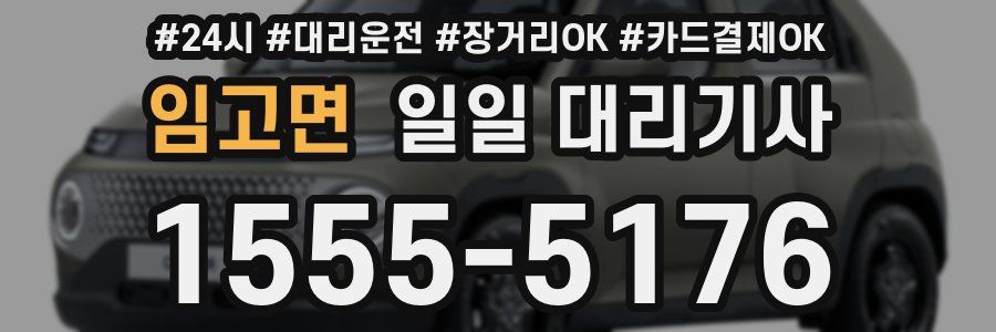임고면 일일 대리기사