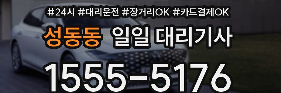성동동 일일 대리기사