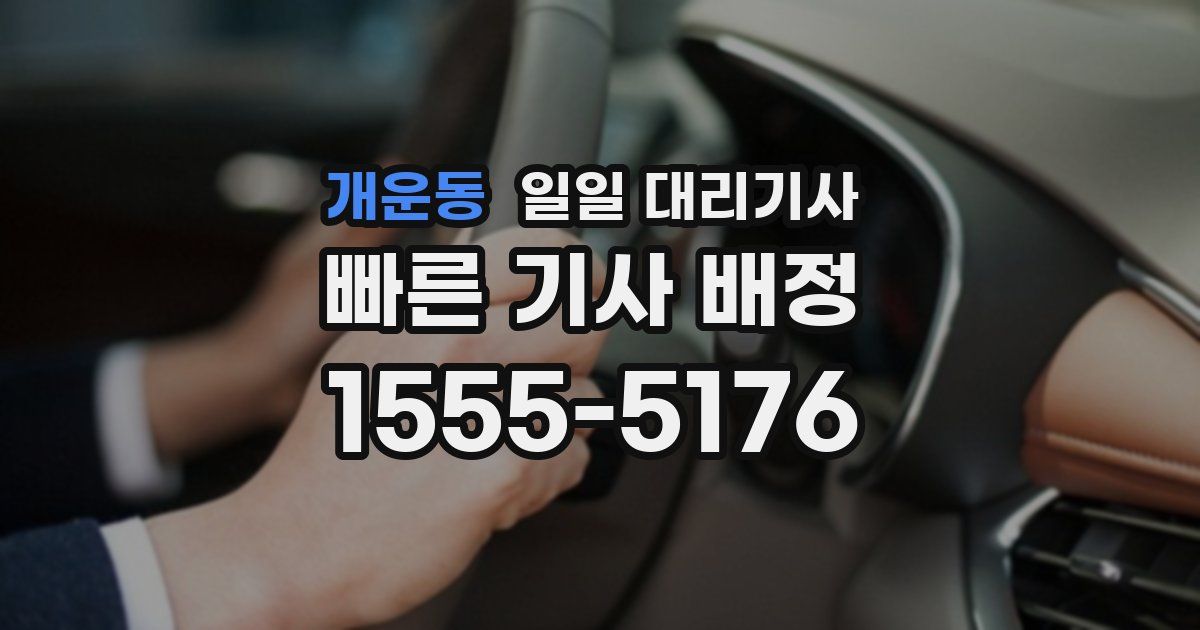 개운동 일일 대리기사
