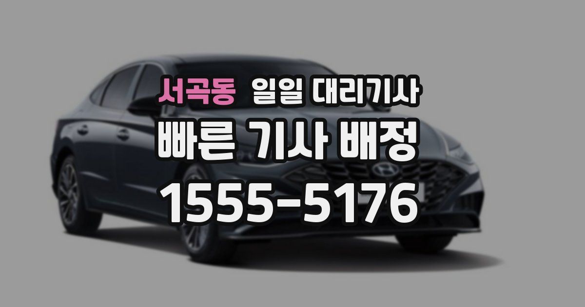 서곡동 일일 대리기사